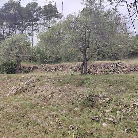 Auberge Des Esperels Rez De Maison Avec Jardin Figanieres ภายนอก รูปภาพ