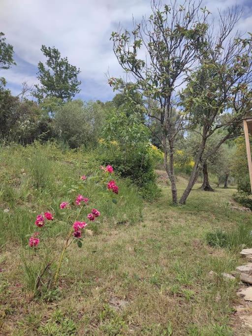 Auberge Des Esperels Rez De Maison Avec Jardin Figanieres ภายนอก รูปภาพ